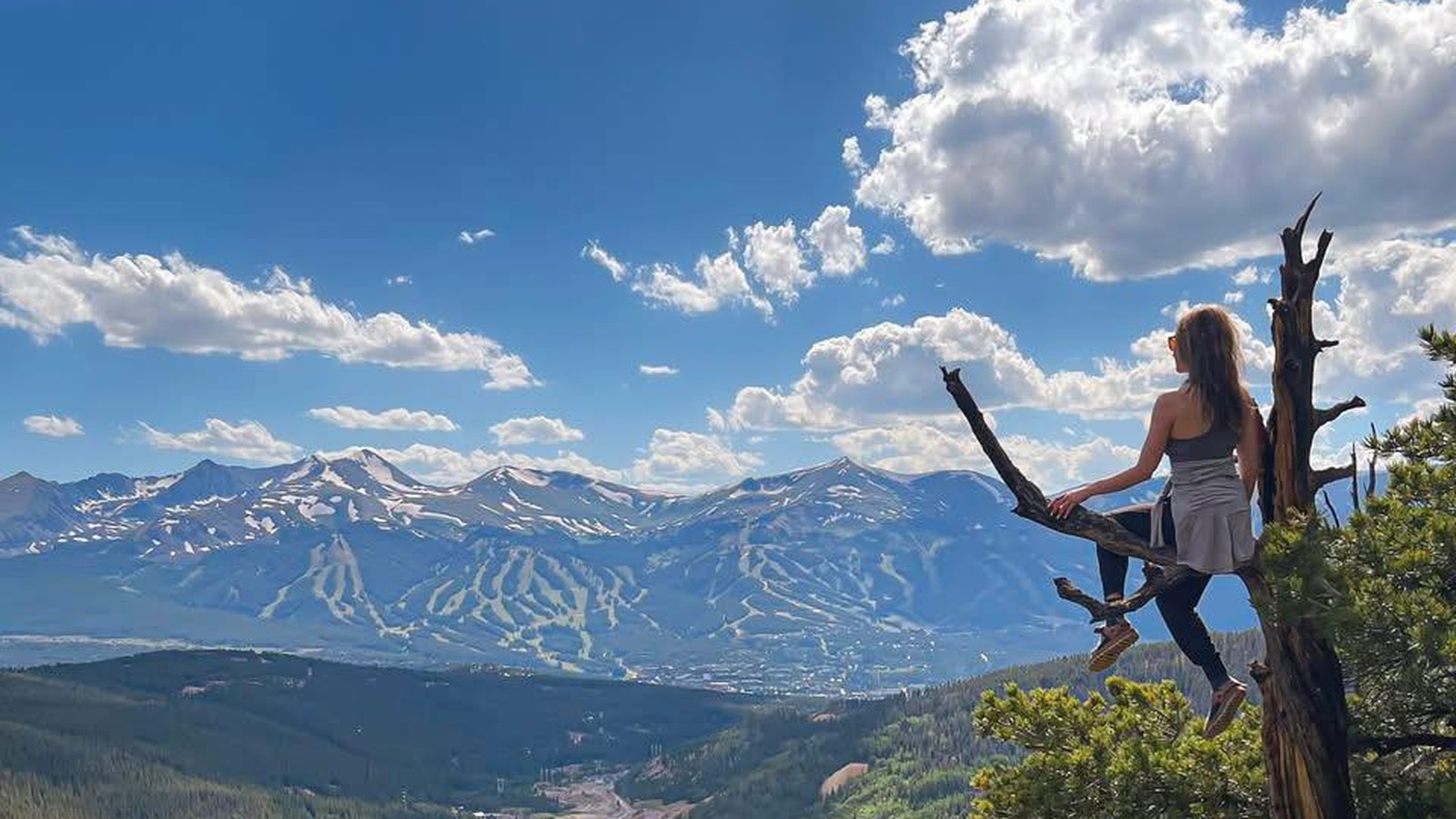 Women of SPRTV: Rachel Follender, Board Member